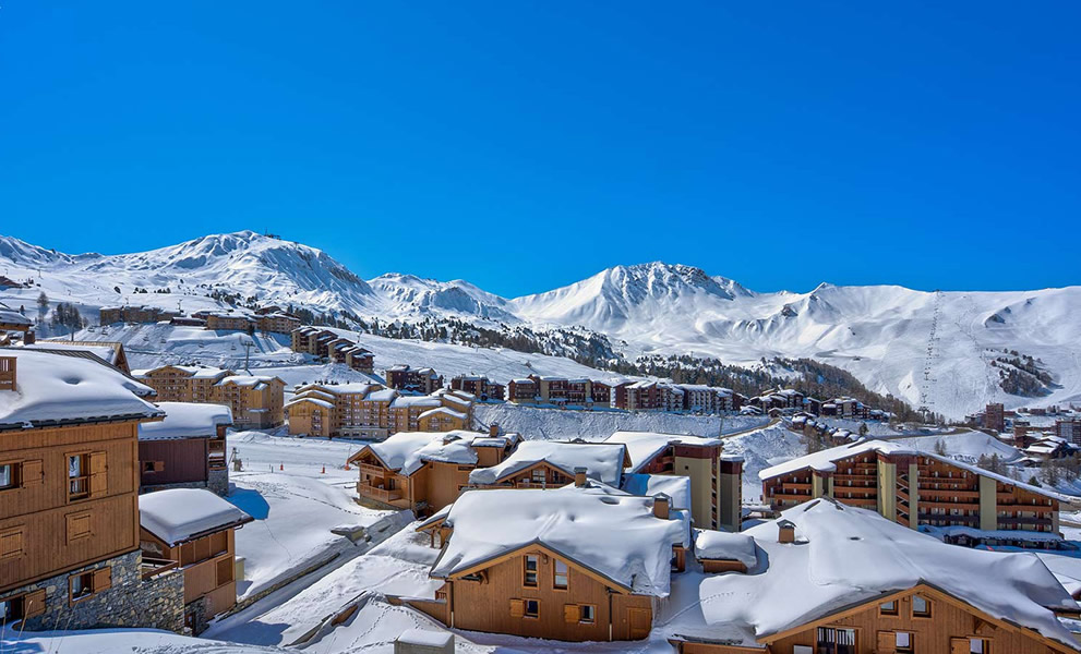 chalet campanula featured